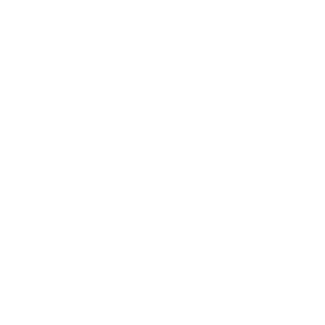 white logo (1)